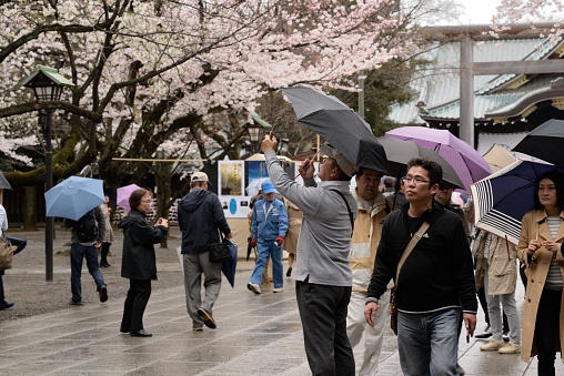 Tokyo, Japan - March 29, 2015: Visitors enjoy the cherry blossoms at Yasukuni Shrine.