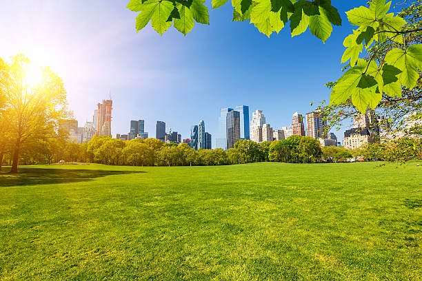Central park, New York Central park at sunny day, New York City central park manhattan stock pictures, royalty-free photos & images