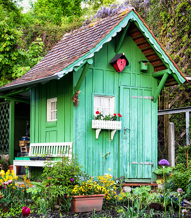 Flower pot at window of old house