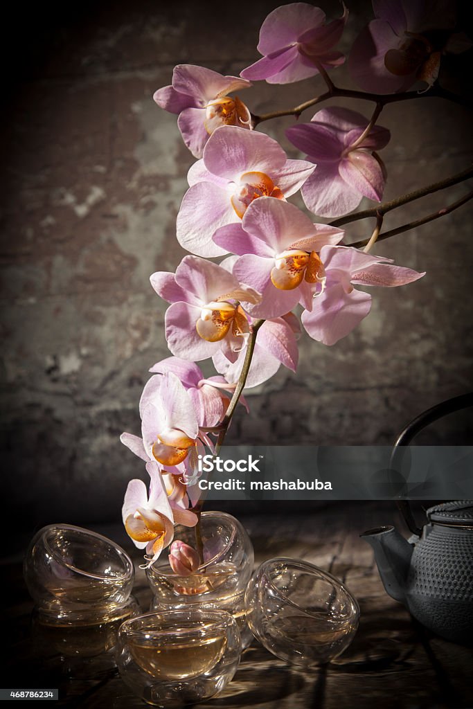 Chinese tea. Beautiful Orchid and cups of green tea on a grunge background.  Flower Stock Photo