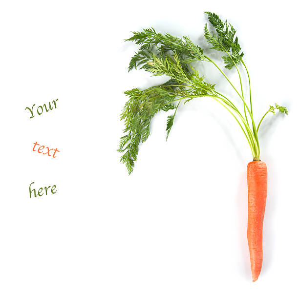 istock Young carrots with tops of vegetable on white background 468786956