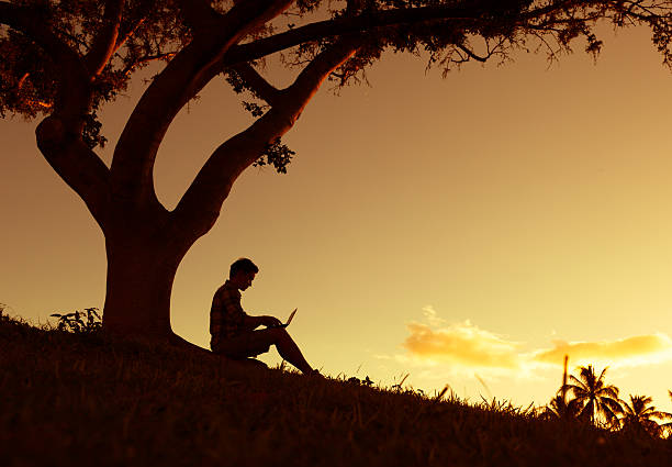 istock Man reading in the park 468792138