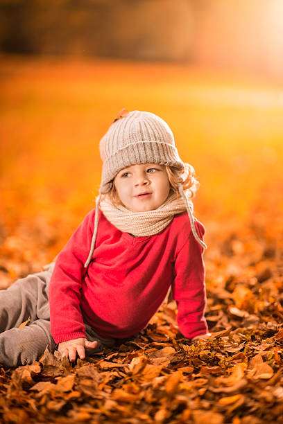 istock Cute little boy sitting in park during autumn day. 468792236