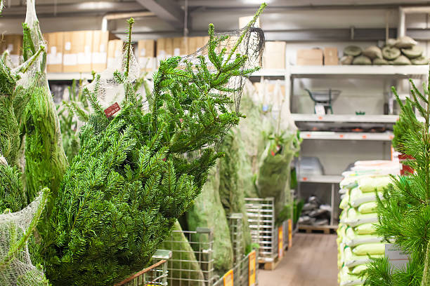 istock Christmas tree in the supermarket 468792983