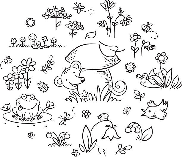 Elements for Kids Designs, Outline Hand drawn flowers, insects and animals for kids designs, black and white outline cartoon of a frog black and white stock illustrations