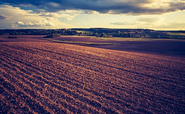 istock Vintage photo of plowed field 468795708