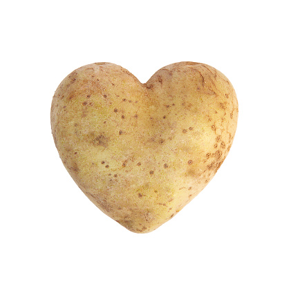 Heart shaped golden potato spud, studio shot, isolated on white