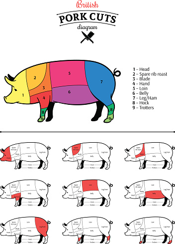 Vector British cuts of pork diagram.