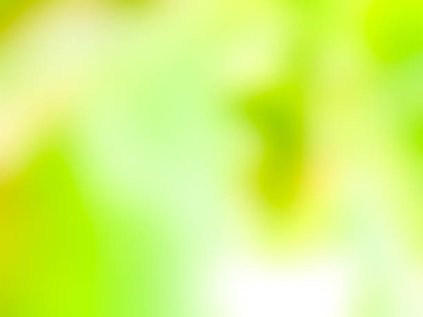 istock Abstract green nature concept background 468808290