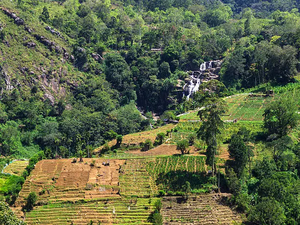 View from the train of Ravana waterfalls or Ravana Ella, which are 25 m cascade waterfalls and are part of Ravana Ella Wildlife Sanctuary. They are located 6 km from Ella, which is a small town surrounded with hills and is famous for trekking, water fall and picturesque train ride.