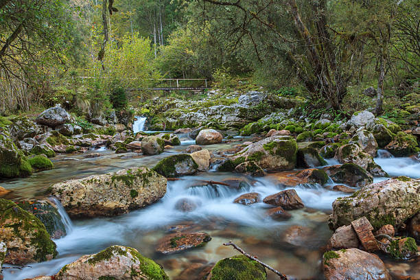 istock Mountain stream in the Lepena valley 468811356