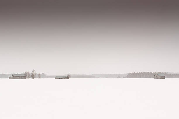 tre case solitario barn - winter finland agriculture barn foto e immagini stock