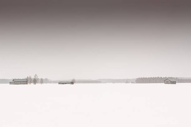 три выражением barn дома - winter finland agriculture barn стоковые фото и изображения