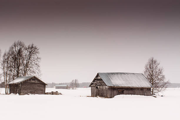 istock Two Crooked Barn Houses 468816364