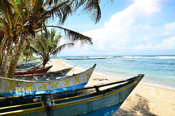 istock Romantic scene on ocean beach in summer with palm trees 468816864