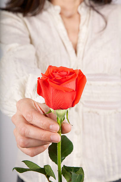 istock white shirt woman offering red rose 468818492