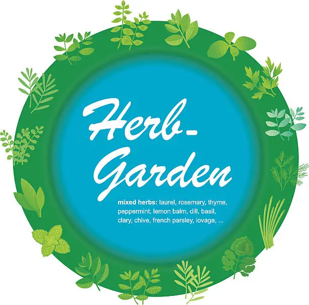 Vector illustration of Herb-Garden