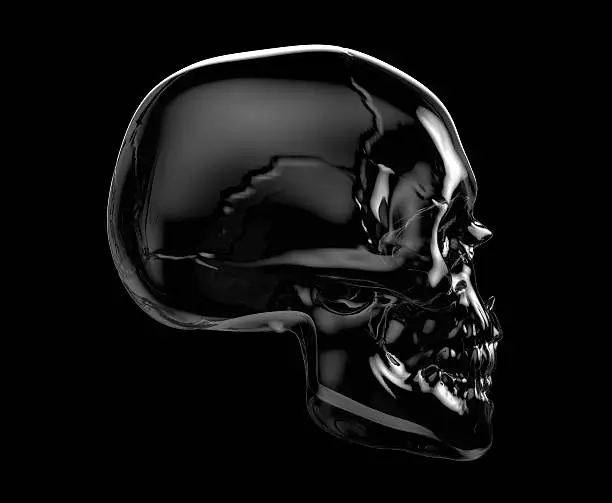 Photo of human skull