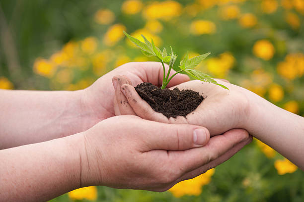 istock man and boy holding green plant in hands. 468831705