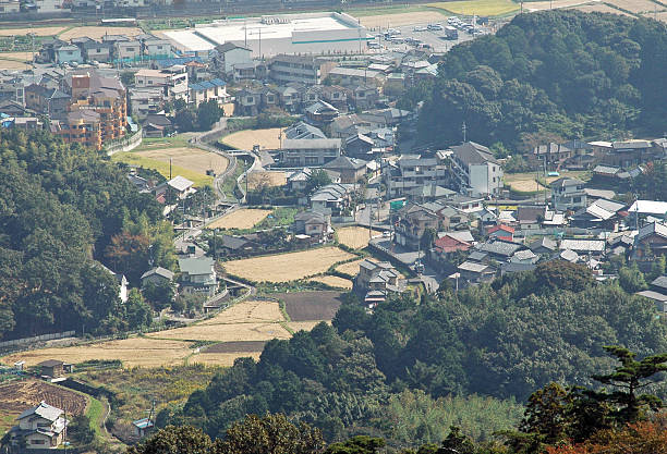 istock Rice fields surrounded by suburb of Ikoma JPN 468833336