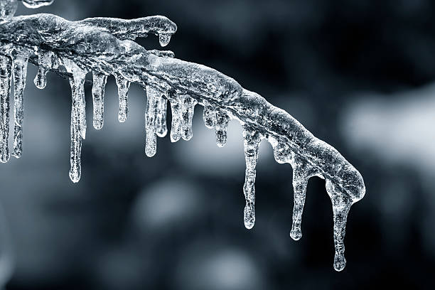 ブルー icicles で冬のブランチ - frozen branches ストックフォトと画像