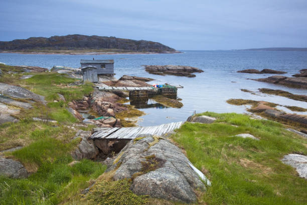 istock Wooden footbridge along ocean 468838193