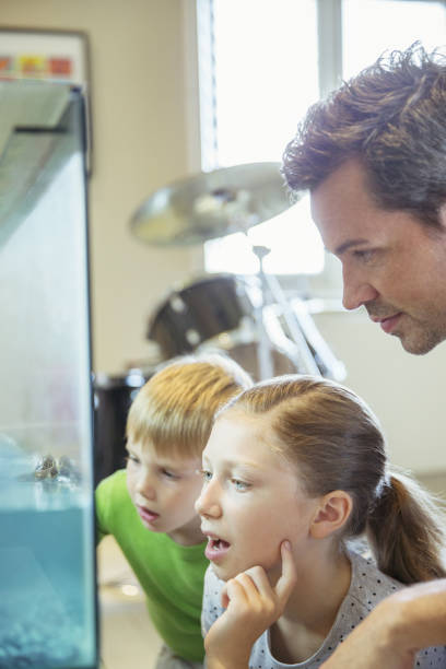 istock Father and children examining fish tank 468839843