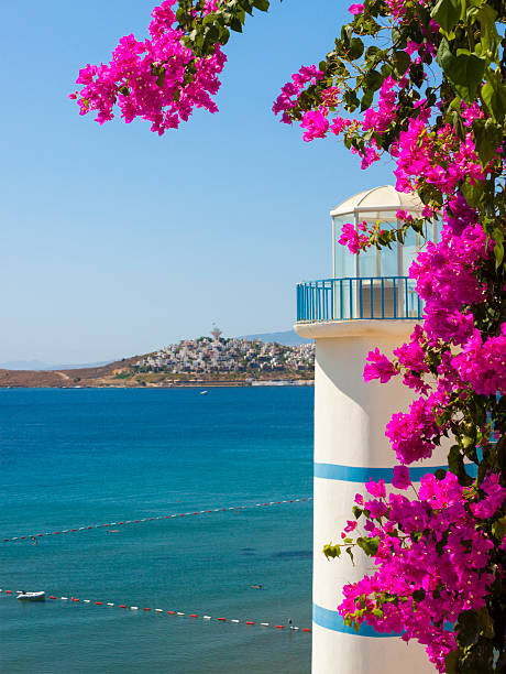 Pink flowers surrounding a seaside lighthouse in Turkey stock photo