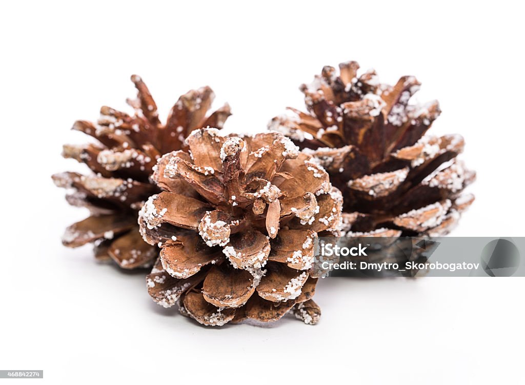 bumps frost bumps frost Isolated on white background Frost Stock Photo