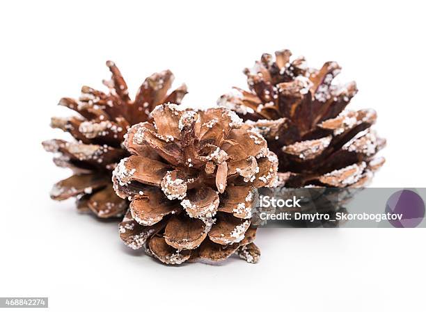 Bumps Frost Stock Photo - Download Image Now - Frost, Pine Cone, 2015