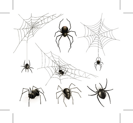 Spiders and spider web, vector set, eps10 illustration contains transparency and blending effects