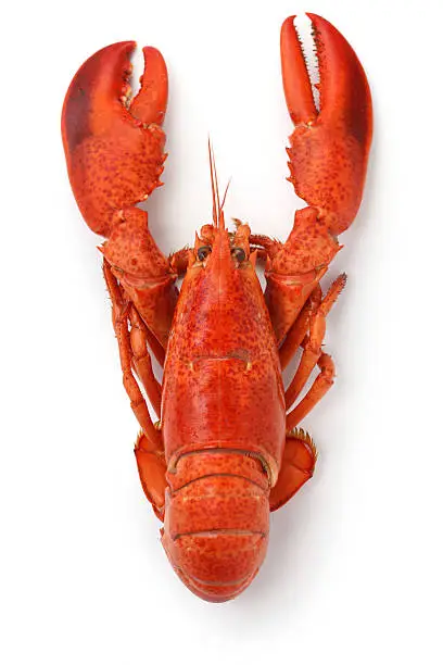 Photo of boiled lobster