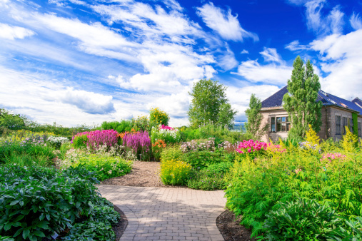 Flowerbed at Botanical garden in Oslo Norway at summer