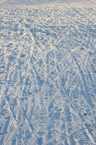 Skis-tracks in evening stock photo