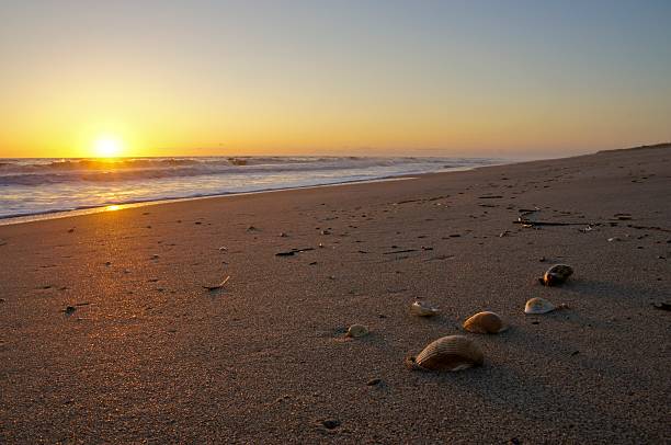 istock Sunrise Over the Atlantic in Merritt Island Florida 468845676