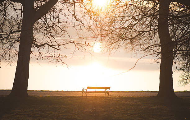 istock Bench in the autumn park 468847832
