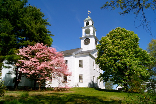 Trees in bloom at First Parish Church in Sudbury , Ma in Spring. A Unitarian Universalist Church with a bell tower.