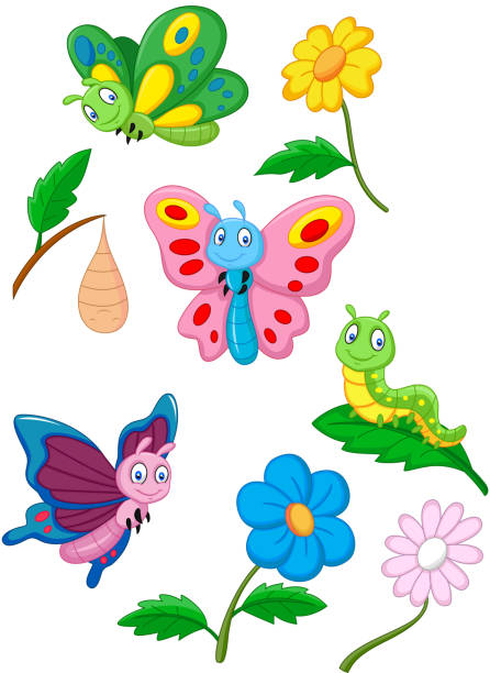 Cartoon Butterfly Caterpillar And Cocoon Stock Illustration - Download  Image Now - Butterfly - Insect, Cartoon, Change - iStock