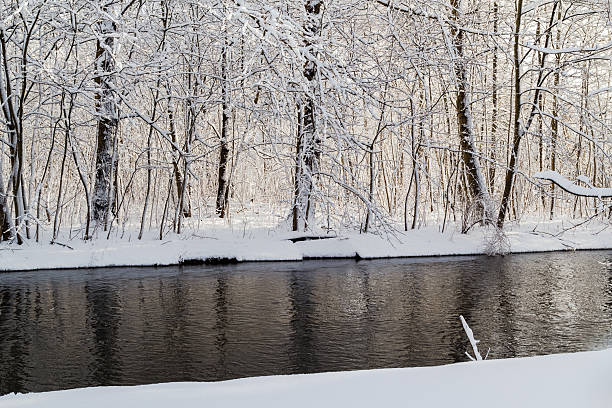 istock Winter landscape forest snow river water 468851842