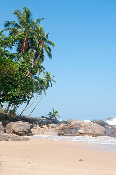 istock Bright sunny day at the beach 468851960