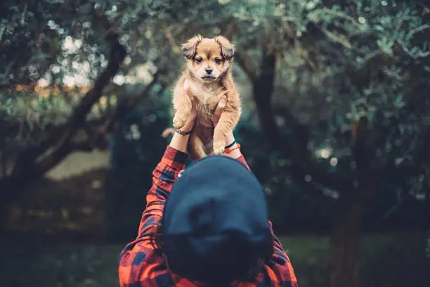 Photo of Teenager girl holding a cute puppy