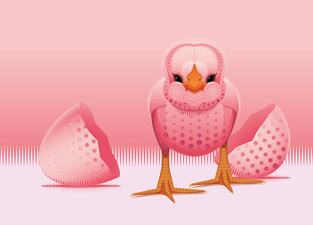 ilustraciones, imágenes clip art, dibujos animados e iconos de stock de pollito - chicken young bird animal egg baby chicken