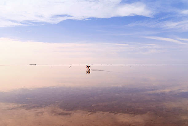 istock German Wadden Sea, Holm Oland 468856030
