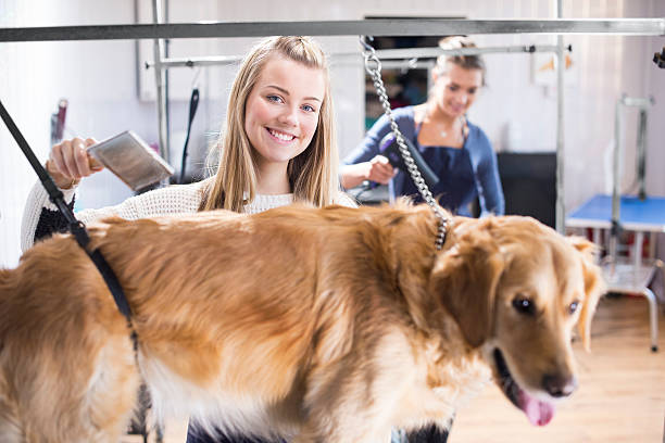 istock Dog grooming salon workers 468856060