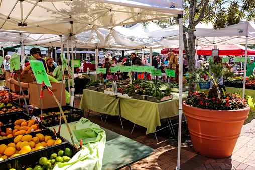 Sarasota, FL, USA - February 21, 2015: Fruit and Veg on sale at the Sarasota Farmers market on a Saturday morning each week