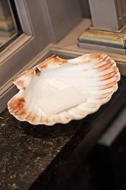 istock Shell soap dish near mirror of bathroom. 468857131