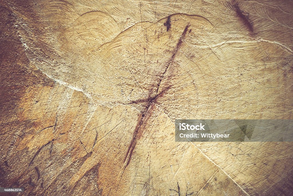 Log Surface Log Surface Texture Background Stock Photo - Download Image Now - 2015 ...