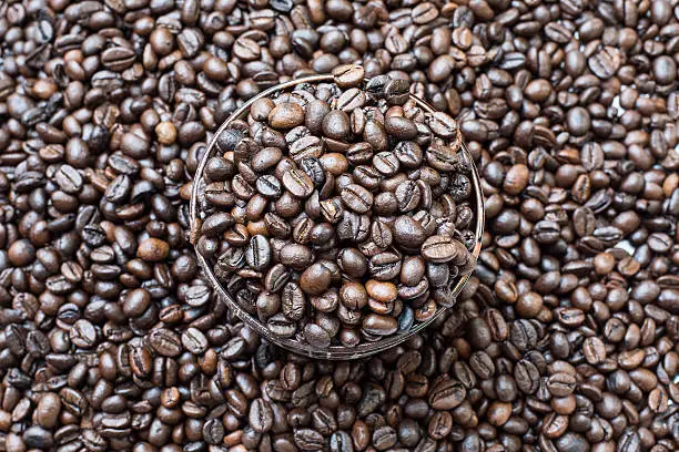 Coffeebean in cup, on coffeebeans background