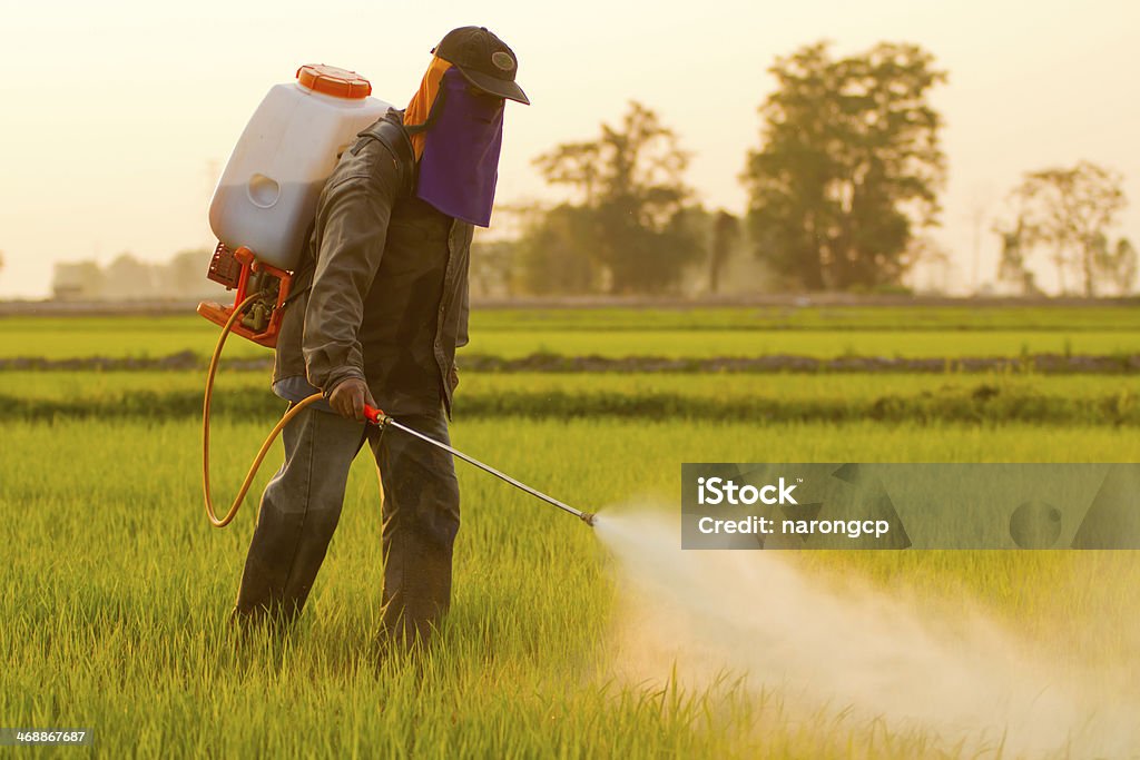 Farmer spraying pesticide Farmer spraying pesticide in Thailand Insecticide Stock Photo