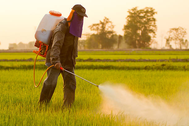 Farmer spraying pesticide Farmer spraying pesticide in Thailand herbicide stock pictures, royalty-free photos & images